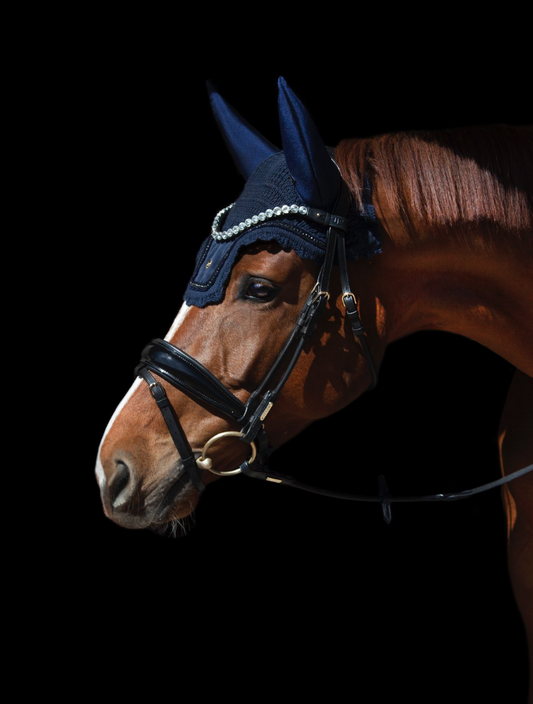 Utzon Copenhagen bridle in black with the utzon empire browband