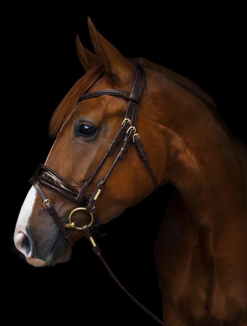 Utzon Copenhagen bridle in brown with brass metalware