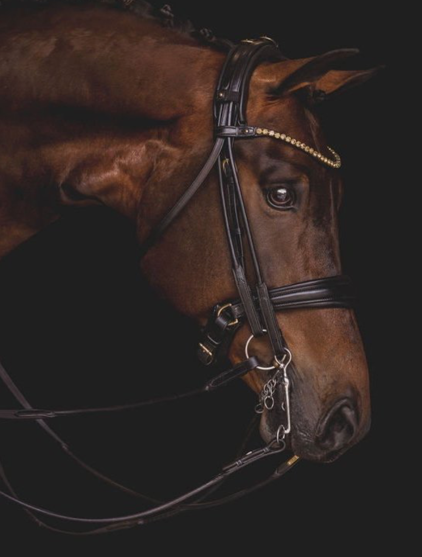 Utzon Edinburgh Double bridle in brown leather with Utzon Equestrian elegant browband with 6mm gold crystals.