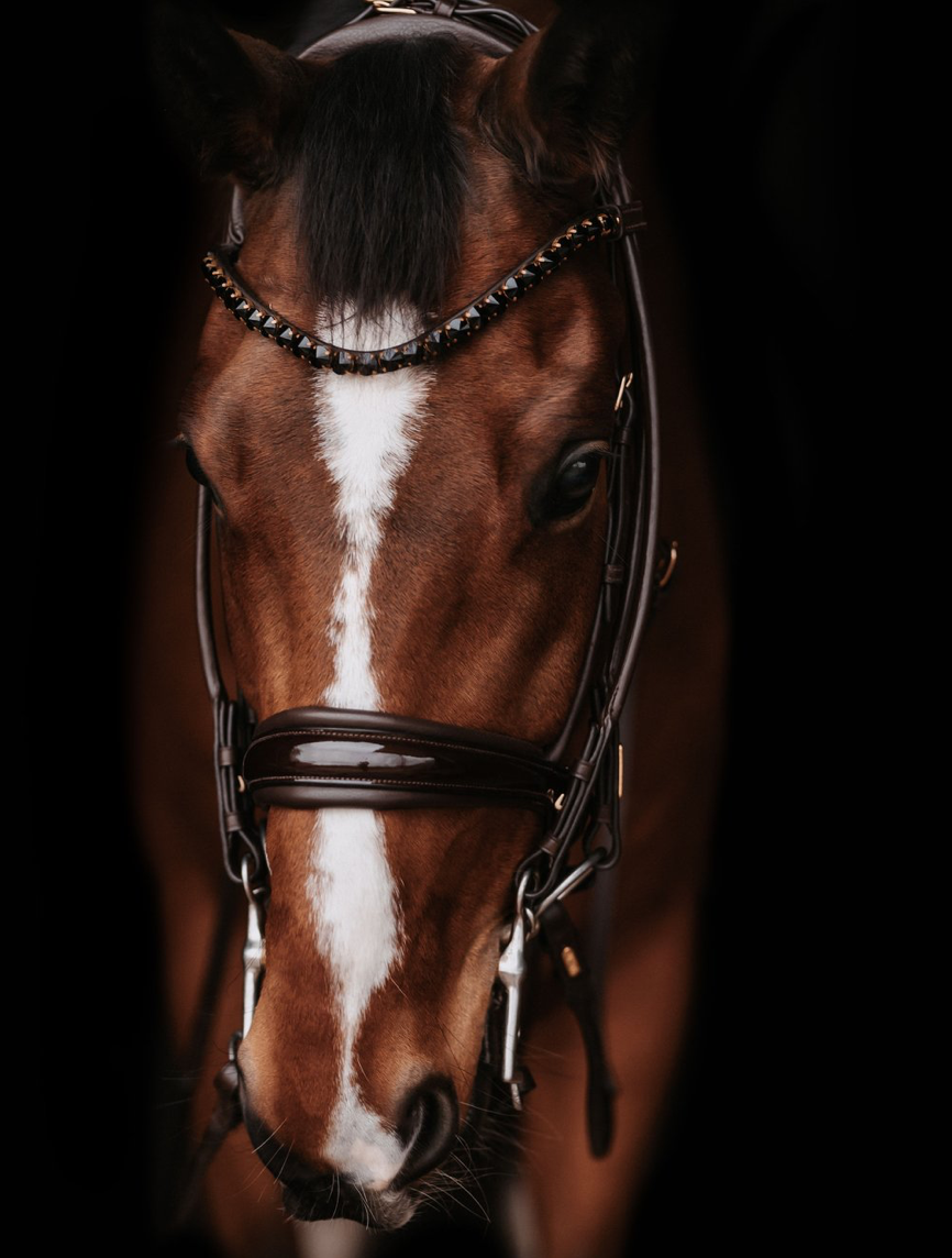 Utzon Edinburgh double bridle with shiny noseband and Empire browband with brown crystals