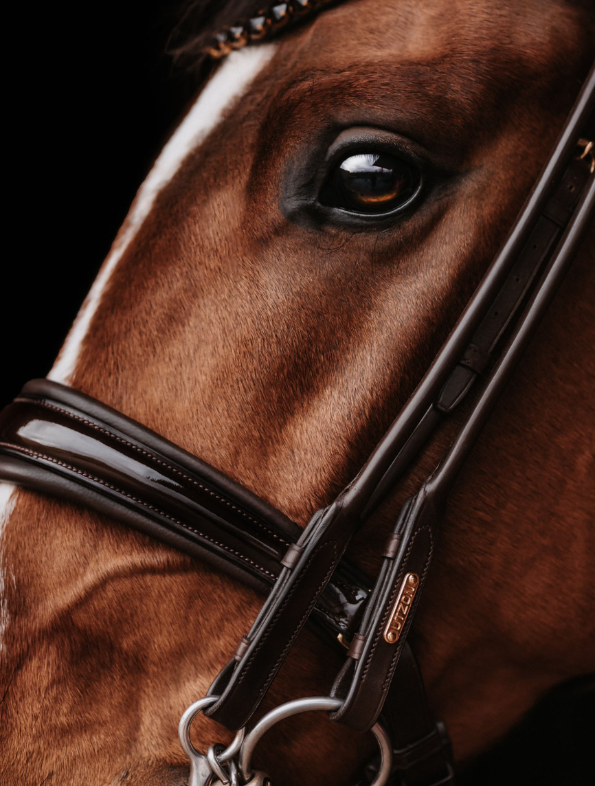 Utzon Edinburgh double bridle with shiny noseband