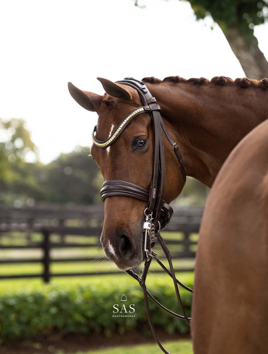 Utzon equestrian London Double Bridle in brown leather and the Utzon clincher browband in brass