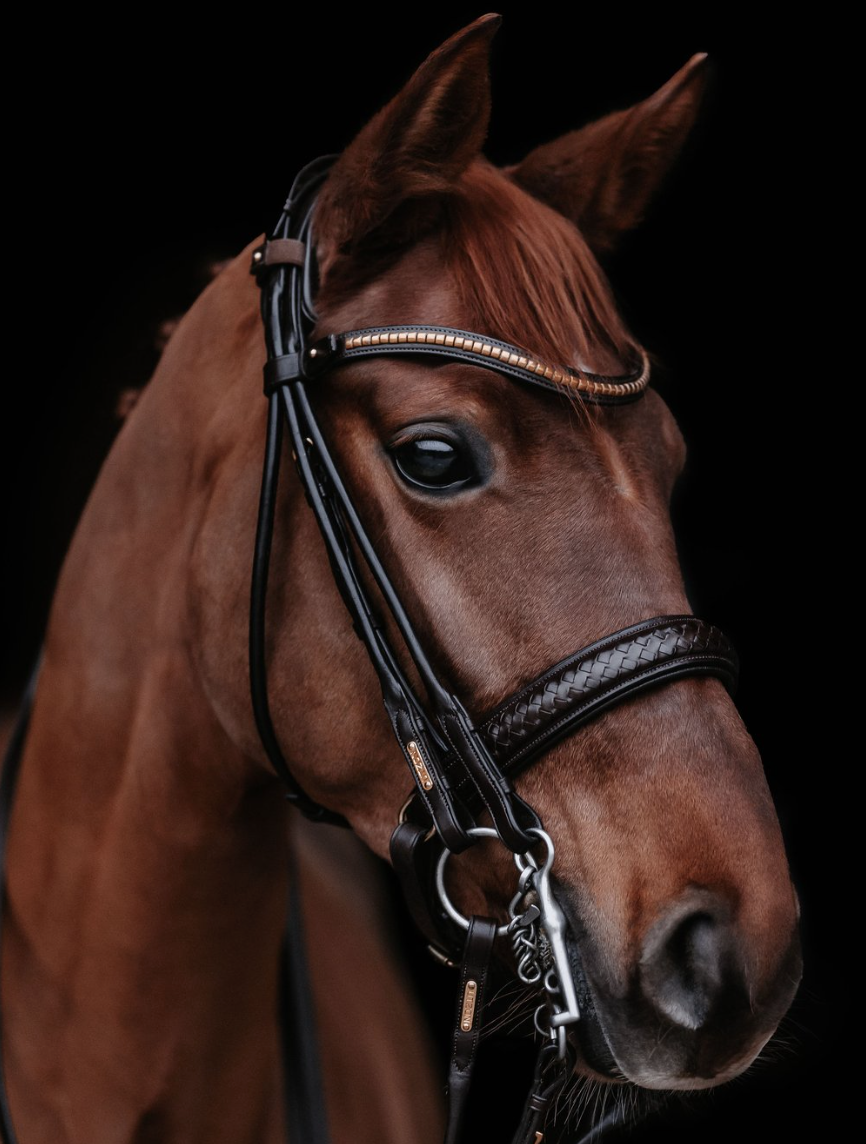 Utzon equestrian grand prix double bridle in brown with gold metalware