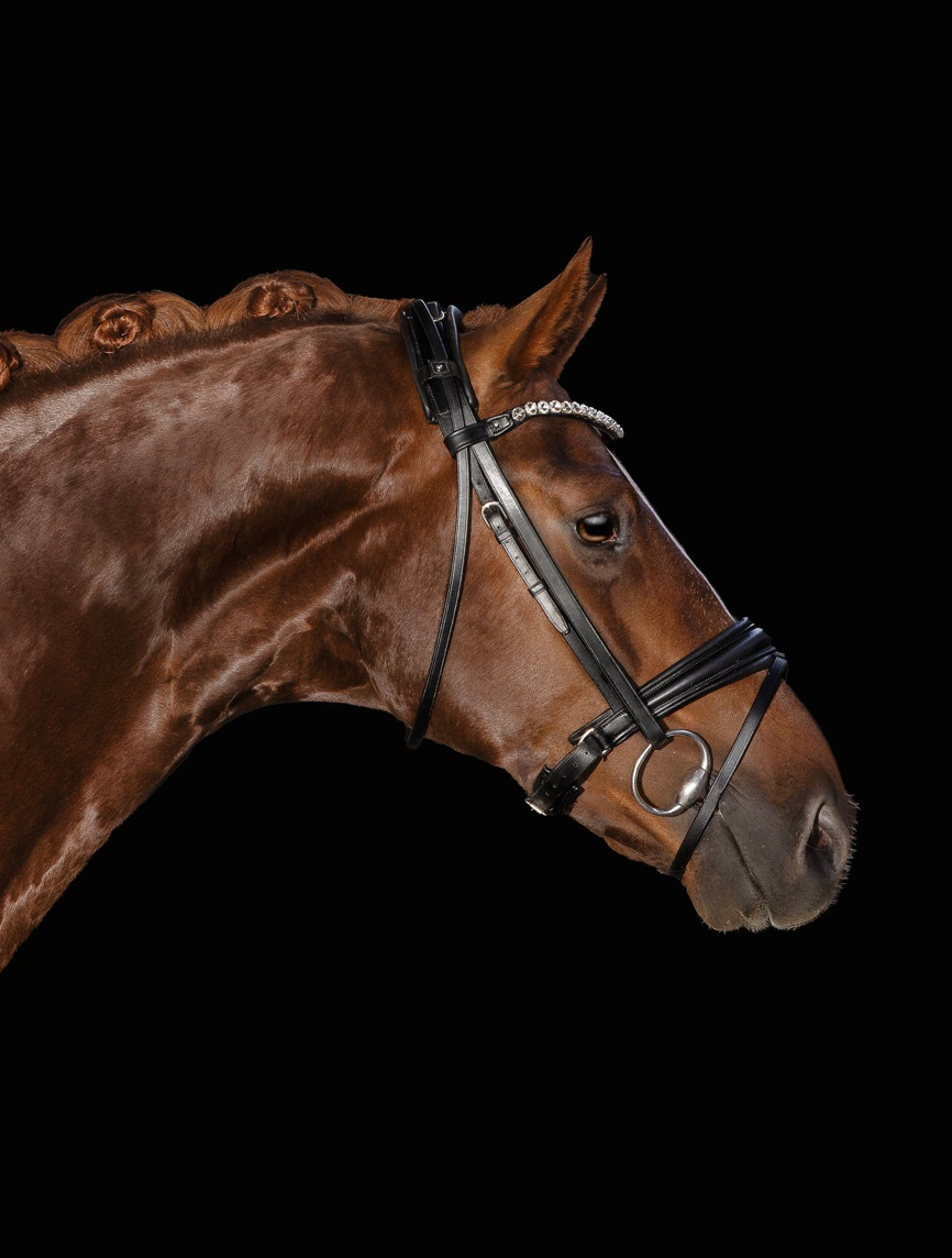 Utzon London Bridle in black leather with the Empire clear crystal browband