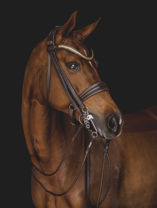 Utzon London Double Bridle in brown leather and the Utzon clincher browband in brass