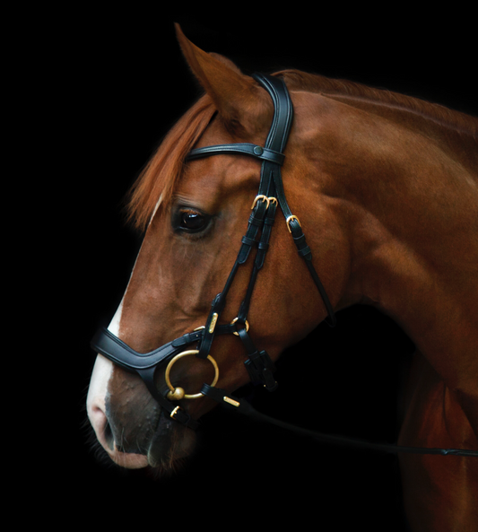 Utzon bristol showjumping bridle in black leather