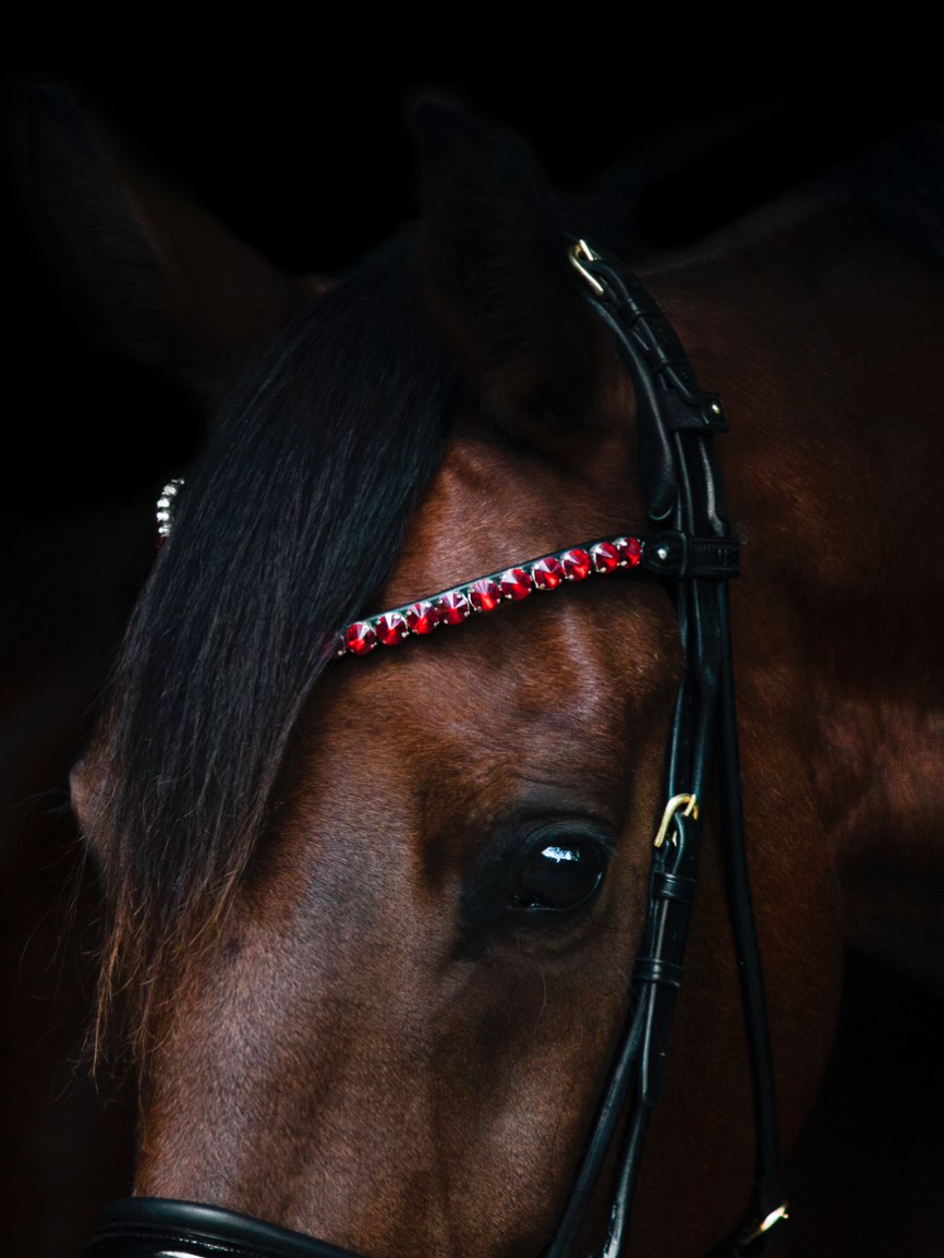Utzon browband empire ruby