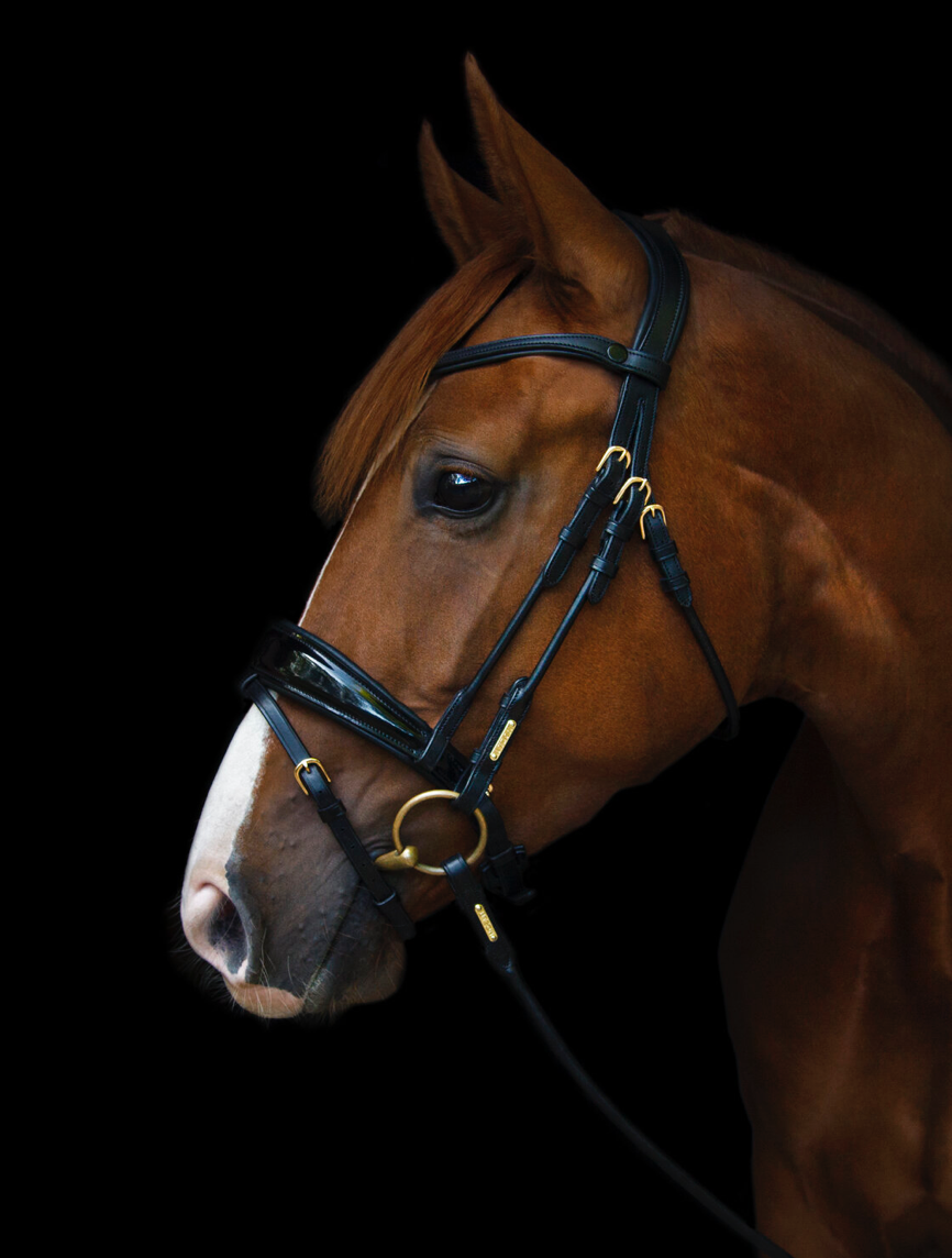 Utzon Copenhagen bridle in black with brass metalware