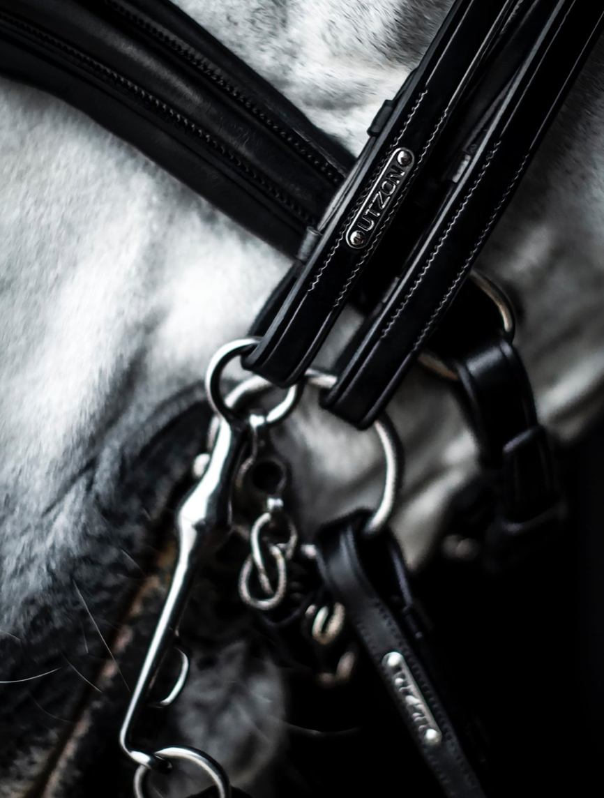 Utzon double bridle cheekpieces