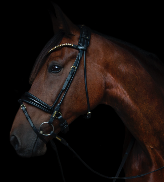 Utzon edinburgh bridle in black