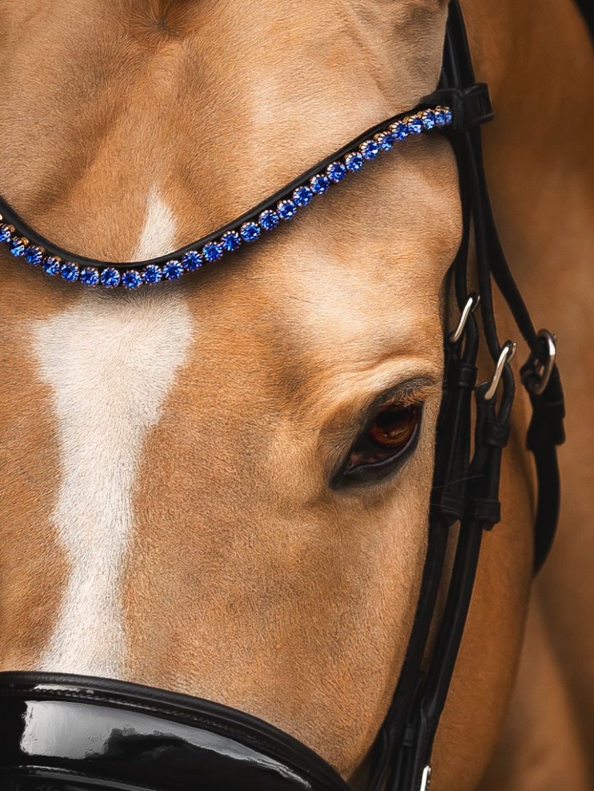 Utzon equestrian browband elegant  with 6mm crystals and sapphire colour