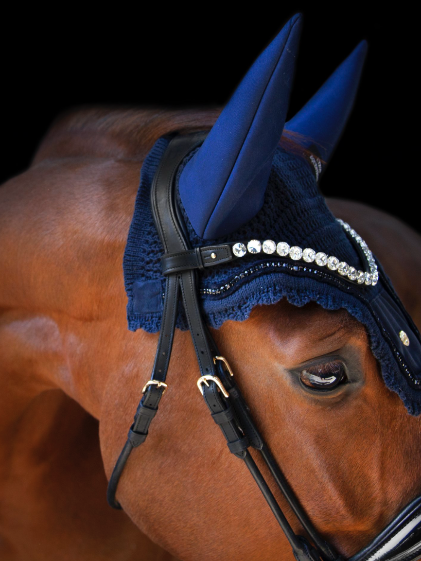 Utzon equestrian browband empire clear colour