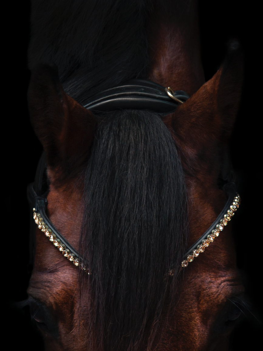 Utzon equestrian browband elegant 6mm crystals colour gold