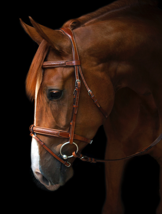 Utzon grand prix bridle in light brown