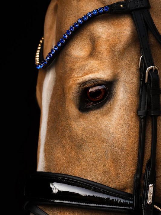 browband elegant  with 6mm crystals and sapphire colour