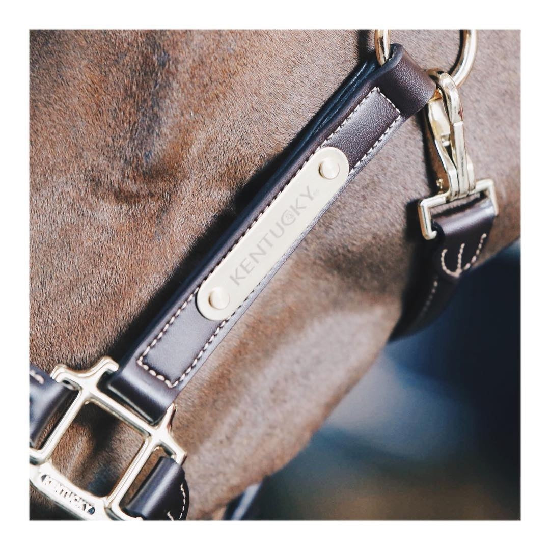 Kentucky Anatomic Halter