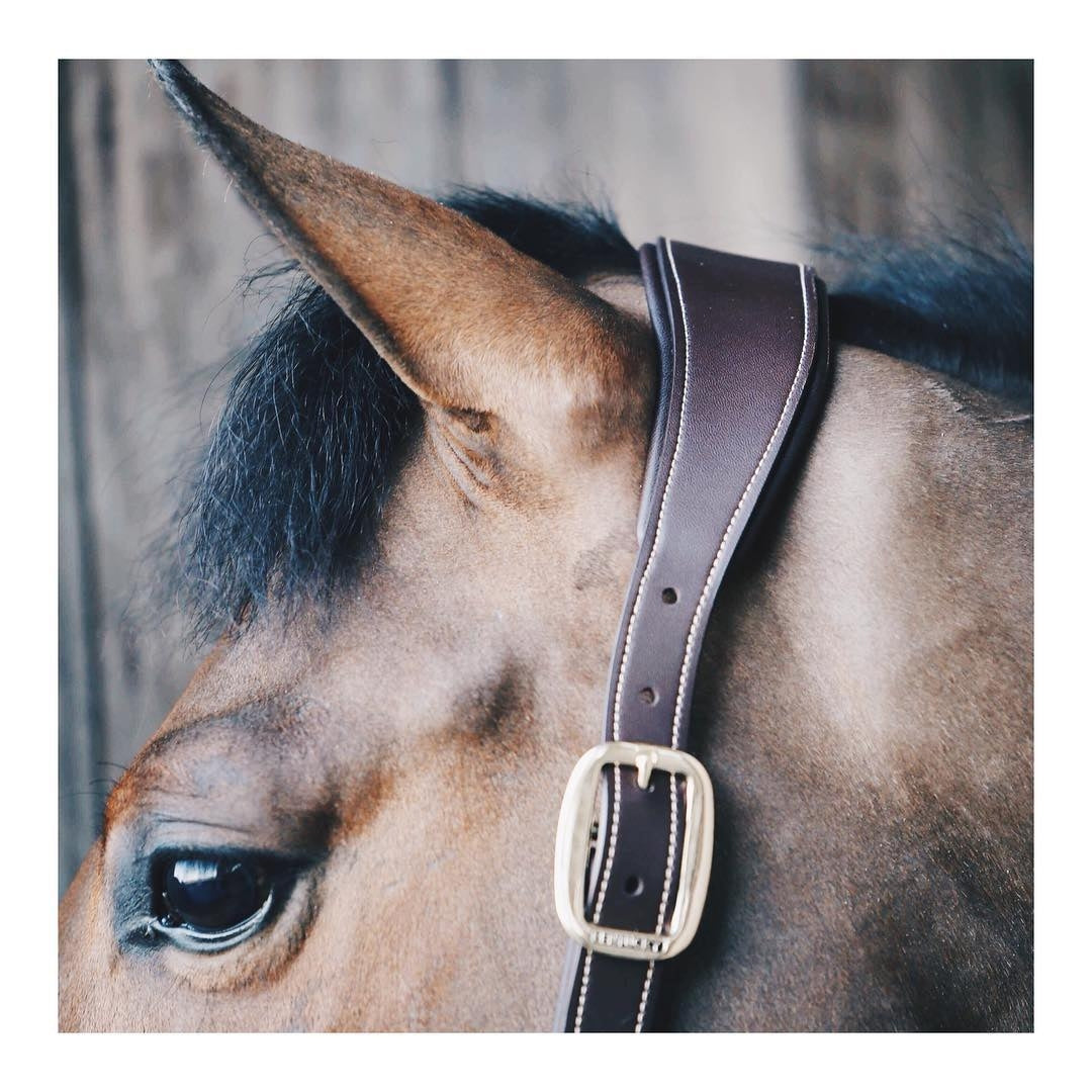 Kentucky Anatomic Halter