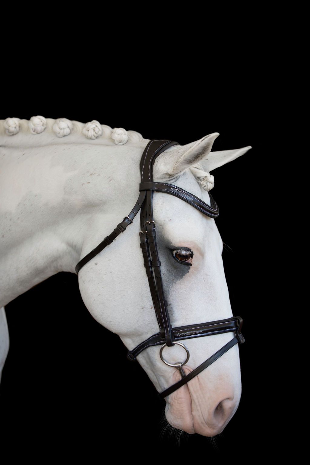 Lumiere 'Milan' Convertible Bridle