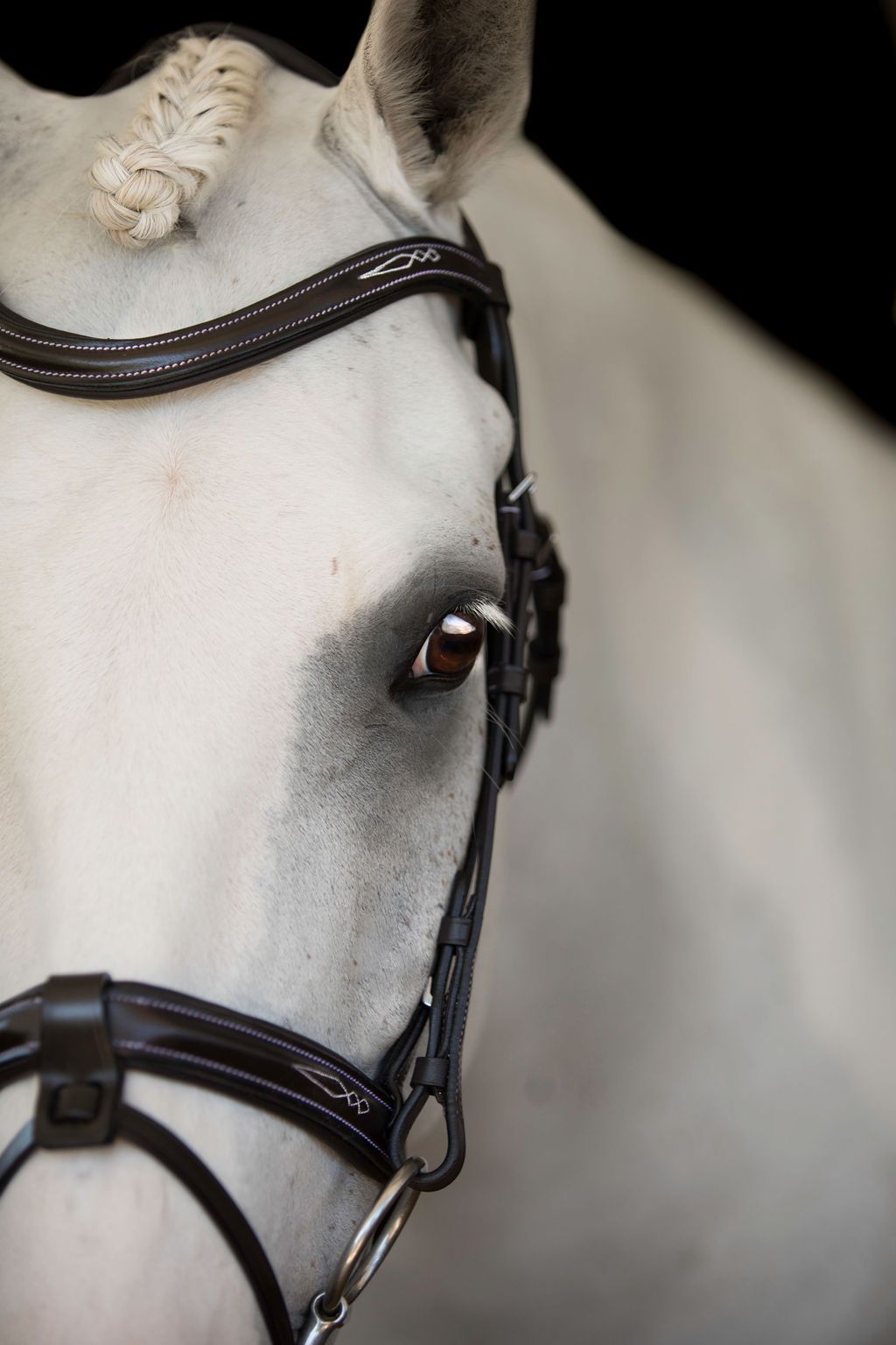 Lumiere 'Milan' Convertible Bridle