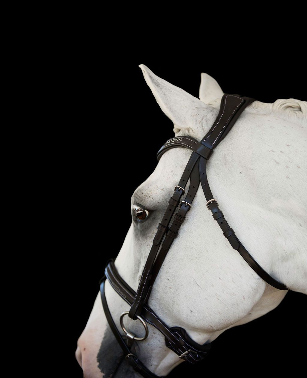 Lumiere 'Milan' Convertible Bridle