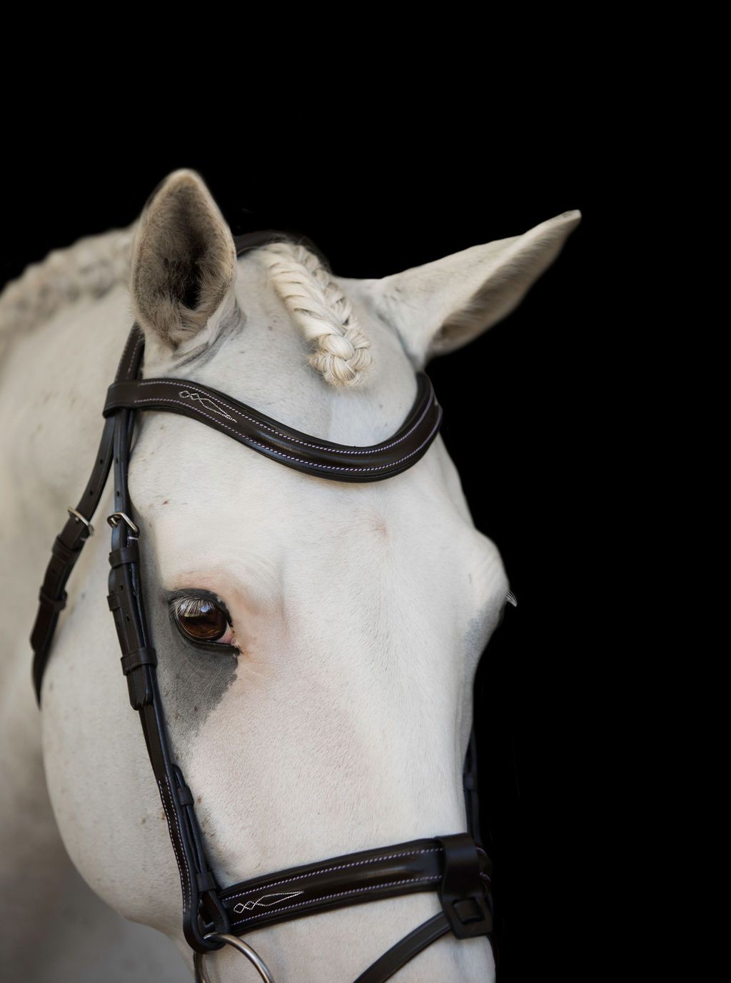 Lumiere 'Milan' Convertible Bridle