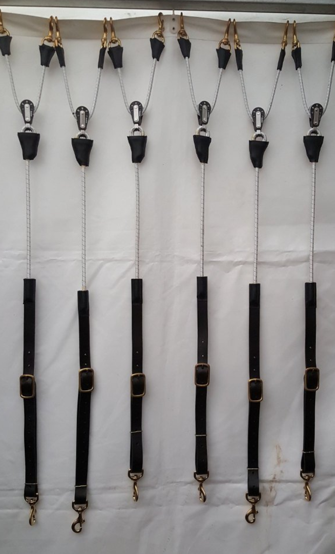 reinrite training aid ccan be useed for racing race horses