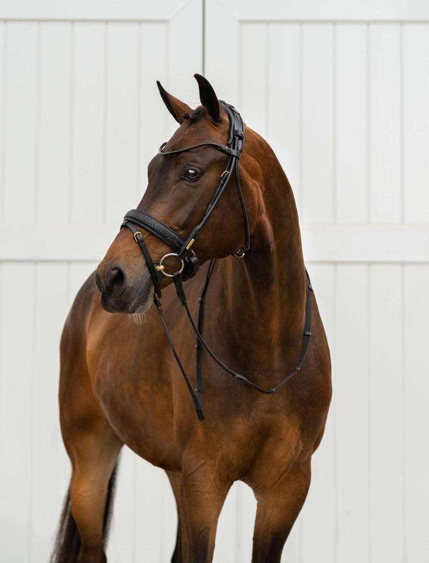 utzon olympic bridle in black with utzon rolled leather browband