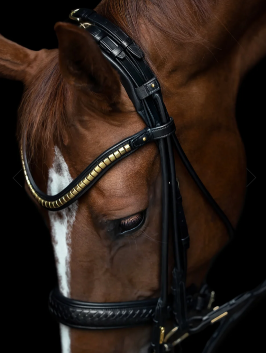 The benefits of a well-fitted bridle is generally overlooked for the cheapest bridle.