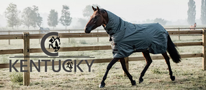 Kentucky Horsewear