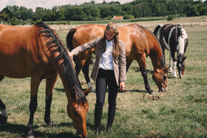 Kentucky Riderwear