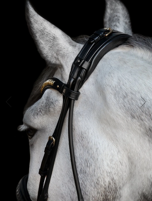 Utzon Equestrian