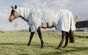 Sweet Itch & Eczema Rugs