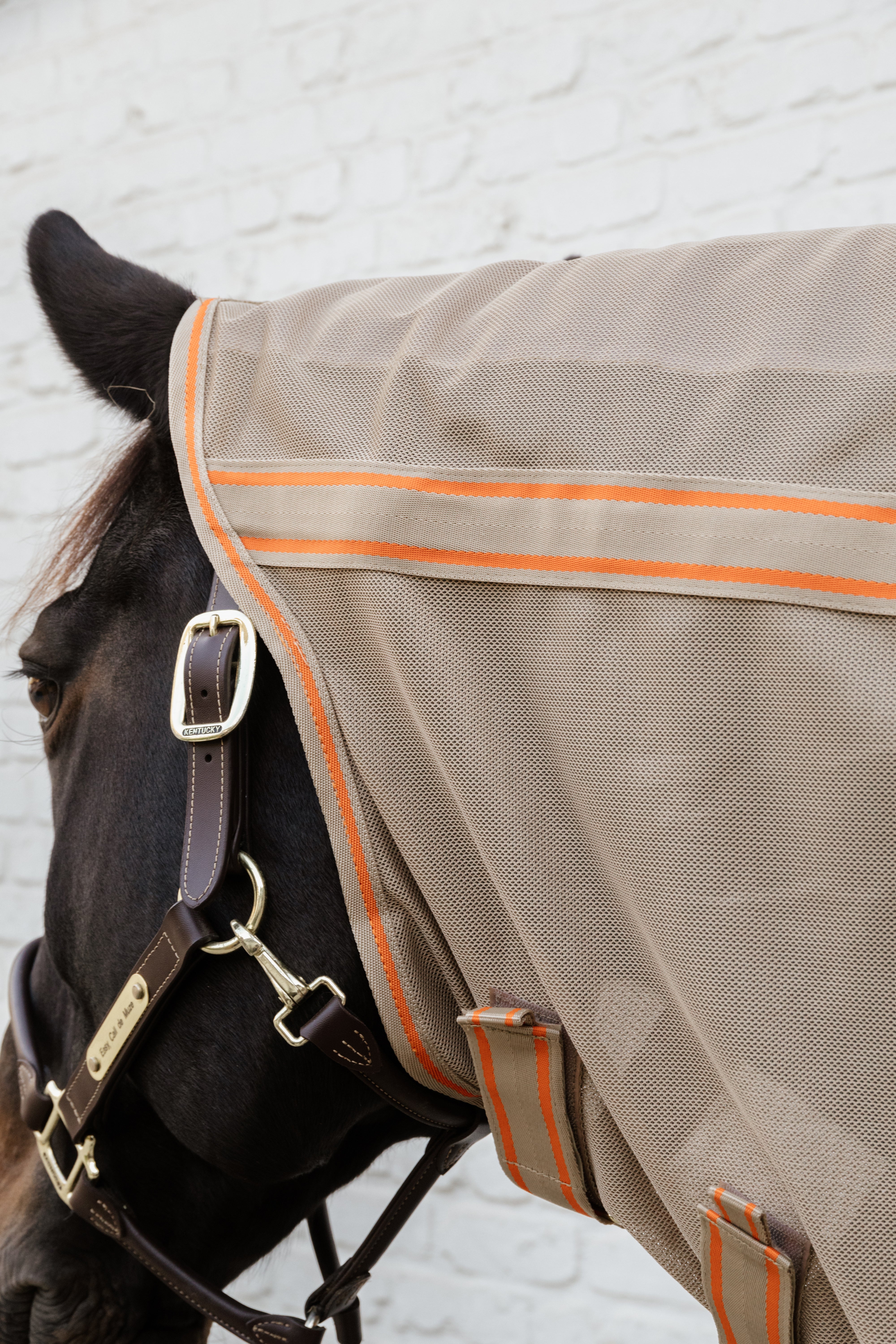 Kentucky Mesh Fly Rug Comfort