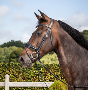 Dy'on Patent Large Crank Noseband Bridle With Flash