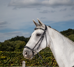 Load image into Gallery viewer, Dy&#39;on Drop Noseband Bridle
