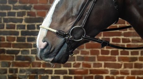 Dy'on Rope Crank Drop Noseband