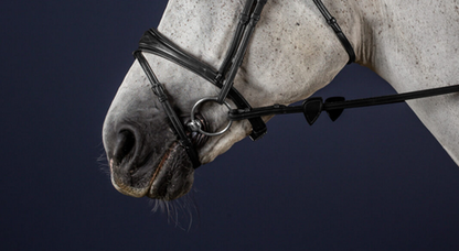 Dy'on Anatomic Flash Noseband