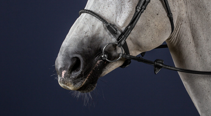 Dy'on Leather Covered Rope Noseband