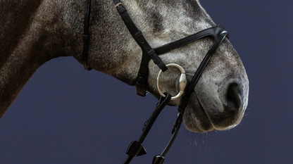 Dy'on X-Fit Noseband