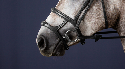Dy'on Double Noseband