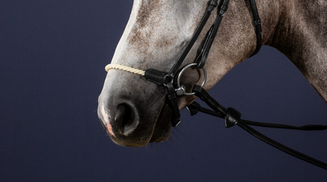 Dy'on Rope Crank Drop Noseband