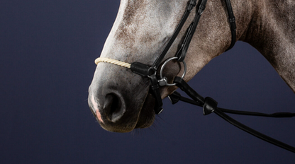 Dy'on Rope Crank Drop Noseband