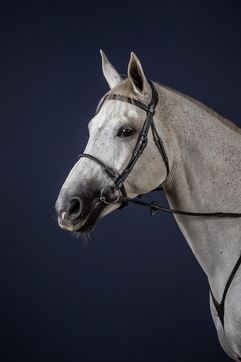 Dy'on Leather Covered Rope Noseband bridle