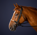 Load image into Gallery viewer, Dy&#39;on Rope Noseband bridle
