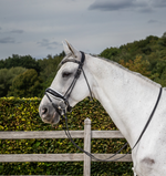 Load image into Gallery viewer, Dy&#39;on Patent Large Crank Noseband Bridle With White Padding And Flash
