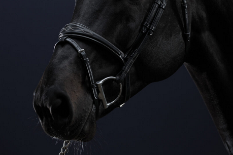 Dy'on Anatomic Flash Noseband