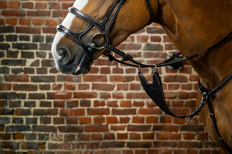 Dy'on Hard Bib Martingale Attachment