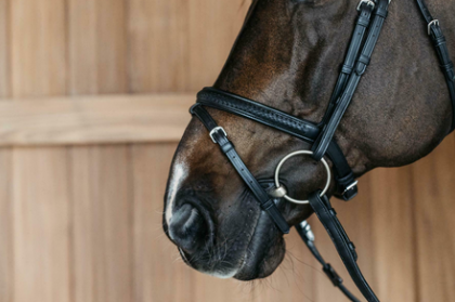 Dy'on Plaited Flash Noseband bridle