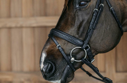 Dy'on Plaited Flash Noseband Bridle with Pull back
