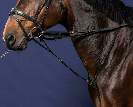 Dy'on Howlett Attachment